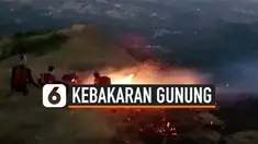 kebakaran padang savana thumbnail