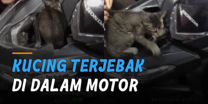 VIDEO: Terdengar Suara Misterius di Dalam Motor, Ternyata Ada Kucing Terjebak