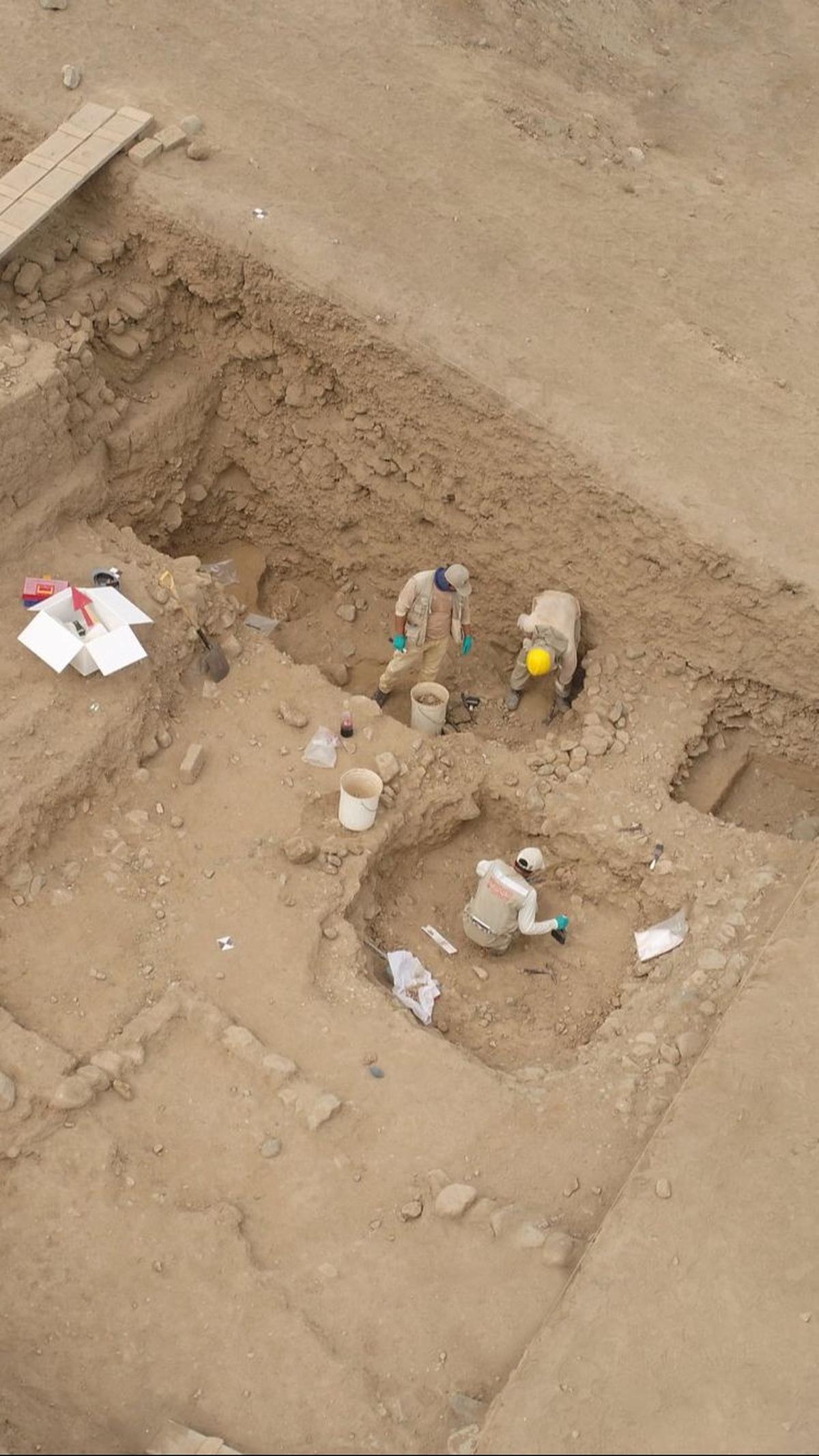 Dilansir Reuters, arkeolog Sinthya Cueva mengungkapkan bahwa kerangka sebelas manusia, yang diperkirakan berusia sekitar 800 tahun, ditemukan terkubur dengan kalung, anting-anting, dan gelang.&nbsp;Foto: Peru's Ministry of Culture/Handout via REUTERS<br>