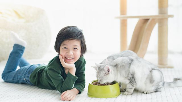 Rahasia Bikin Kucing dan Si Kecil Jadi Teman Baik Sampai Dewasa
