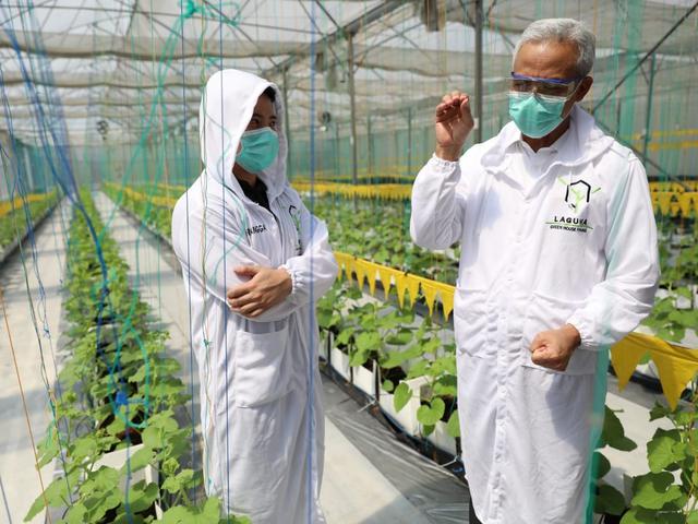 Inovasi Petani Muda Asal Kudus Ini Bikin Gubernur Jateng Takjub News Liputan6 Com