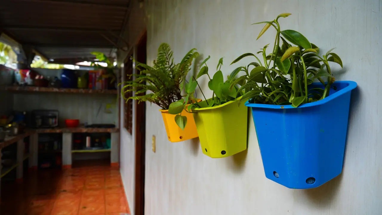 Model Pot Tanaman Dinding dari Barang Bekas Dapur Rumah (Foto: Reve Art AI)