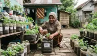 Cara Menanam Bayam di Toples Plastik Bekas, Ide Berkebun Praktis untuk Rumah Minimalis