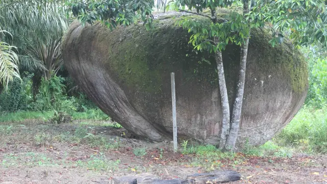 6 Fakta Menarik Kabupaten Lamandau yang Sempat Diusulkan dengan Nama Berbeda