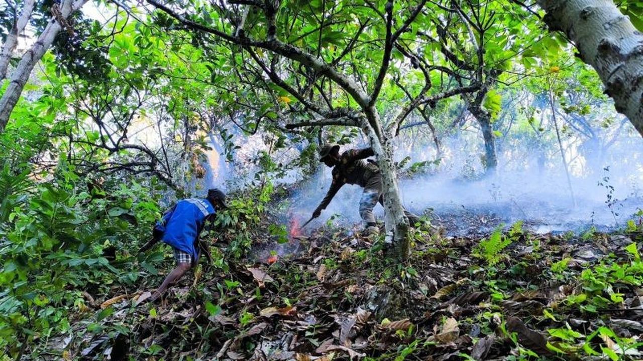 Pemadaman Karhutla Parimo: BPBD Andalkan Alat Manual di Tengah Medan Berat