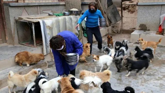 Photo: Copyright shanghaiist.com