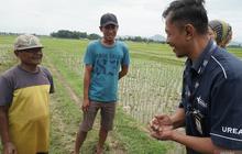 Serapan Pupuk Subsidi Tulungagung Capai 90 Persen Menjelang Akhir 2025