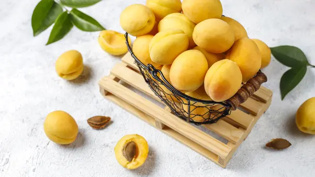 Sekeranjang buah aprikot berwarna kuning (Foto Dok: Freepik/azerbaijan_stockers)