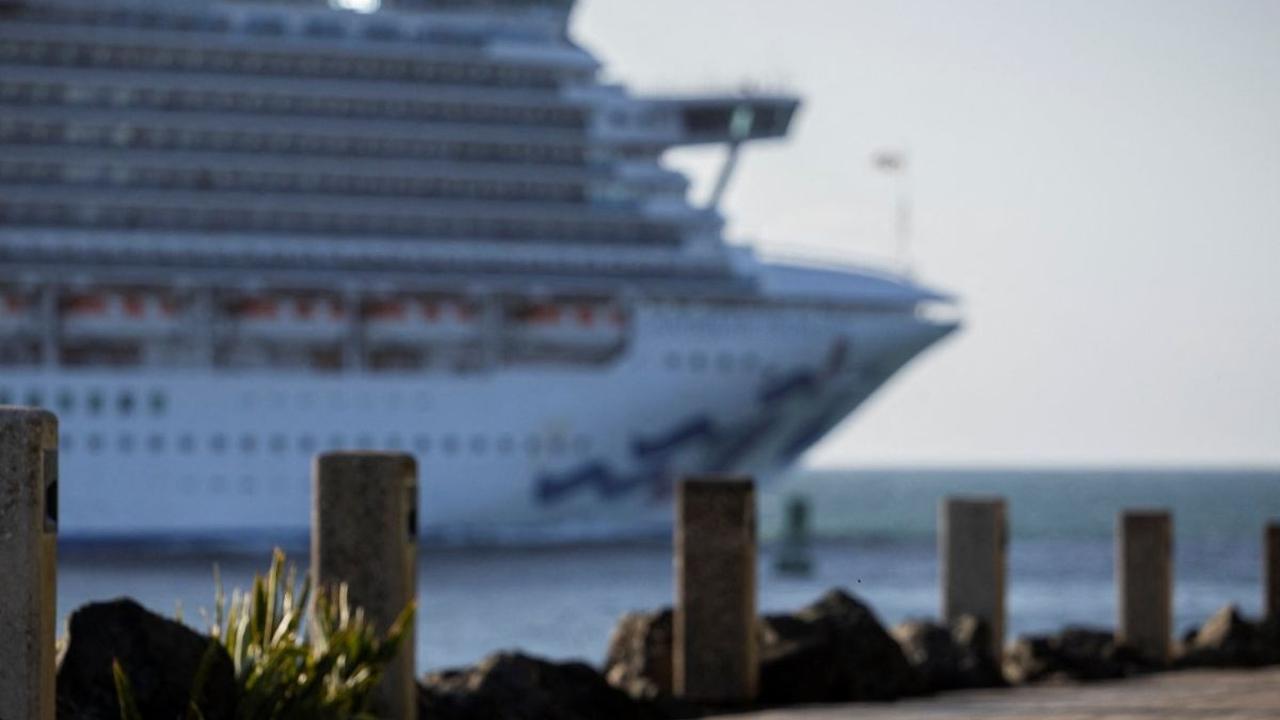 Seekor kucing liar berjalan-jalan di samping tembok El Morro di distrik bersejarah benteng Old San Juan saat kapal pesiar berlayar melalui Teluk San Juan, Puerto Rico, pada 3 April 2024. Foto: RICARDO ARDUENGO / AFP<br>