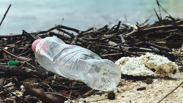 6 Dampak Mikroplastik Bagi Kesehatan (photo by pexels.com)