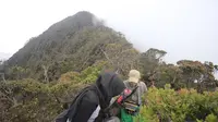 6 Fakta Menarik Gunung Tambusisi di Sulawesi, Bagian Konservasi Cagar Alam Morowali Utara