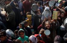 FOTO: Potret Pilu Warga Palestina Rela Berdesakan Demi Makanan, Gencatan Senjata Jadi Harapan Akhiri Kelaparan