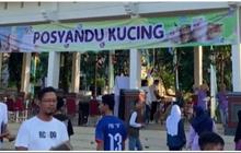 Viral Posyandu Kucing di Lamongan, Fasilitas Lengkap Ada Timbangan hingga Petugas Khusus