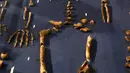 Tulang belulang Homo Naledi, nenek moyang manusia dipajang di Maropeng, 10 September 2015. Para ilmuwan menemukan ratusan potongan dari 15 kerangka di satu gua di dekat Johannesburg. (REUTERS/Siphiwe Sibeko)