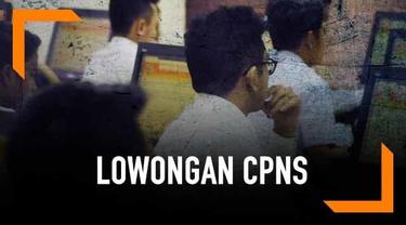 Berita Pppk Hari Ini Kabar Terbaru Terkini Liputan6 Com