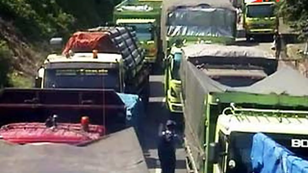 120112terk5merak.jpg