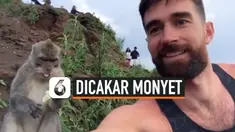 DICAKAR MONYET