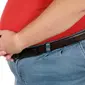 Temuan ini bisa menjadi cara baru yang berdaya untuk membantu orang-orang obesitas mengalahkan perilaku makan secara kompulsif.