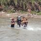 Warga Desa Korobhera gunakan jasa pikul motor saat menyebrang di sungai. (Liputan6.com/Dionisius Wilibardus)