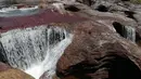  Sungai Cano Cristales atau disebut "sungai lima warna" terlihat di Taman Nasional Sierra de La Macarena, provinsi Meta, Kolombia (27/9). Keindahan Sungai ini karena tanaman ganggang warna-warni yang  menghiasi dasar sungai. (AFP PHOTO/John Vizcaino)