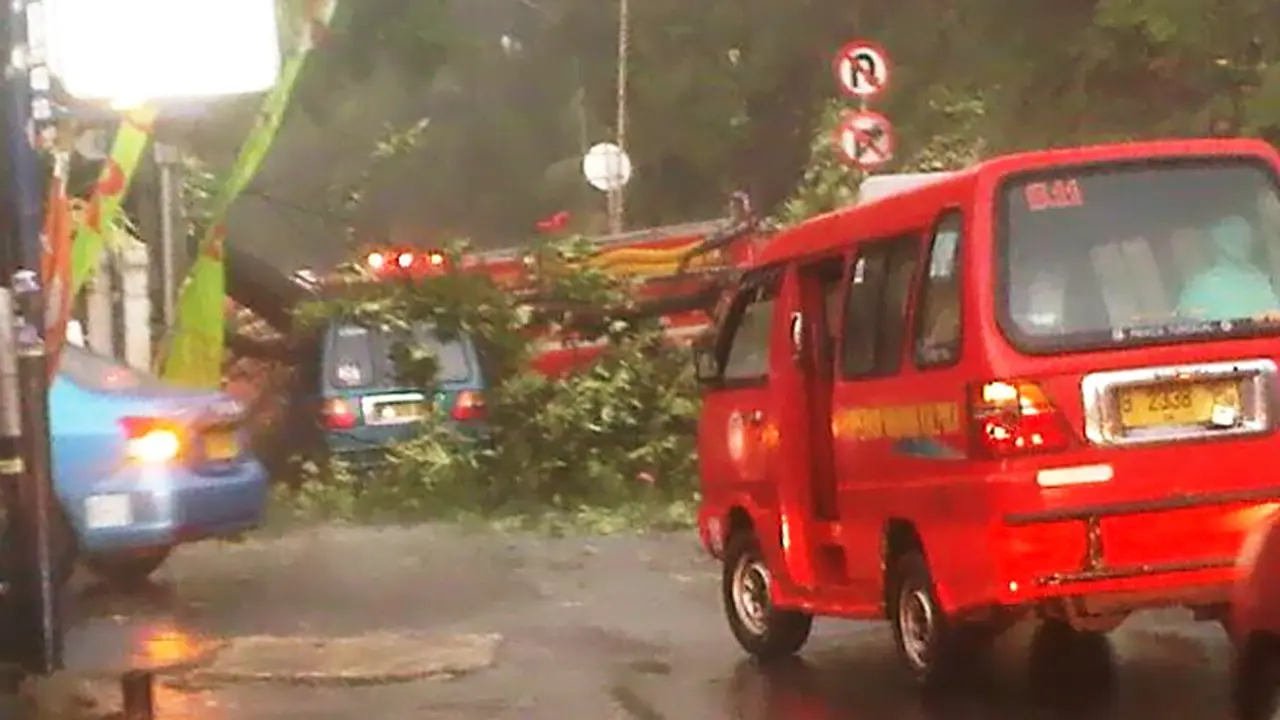pohon-tumbang-131129-c.jpg