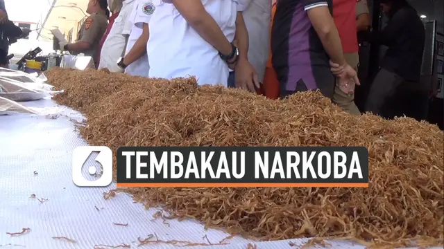 VIDEO: Polisi Gerebek Lokasi Pembuatan Tembakau Sintetis di Bogor