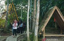 Ekowisata Hutan Kaltim Angkat Ekonomi Masyarakat Lokal, Strategi Jitu Pemprov Kaltim