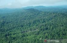 Akademisi dan Menteri ATR/BPN Tegaskan Jual Beli Hutan Ilegal Berstatus PPKH Langgar Aturan