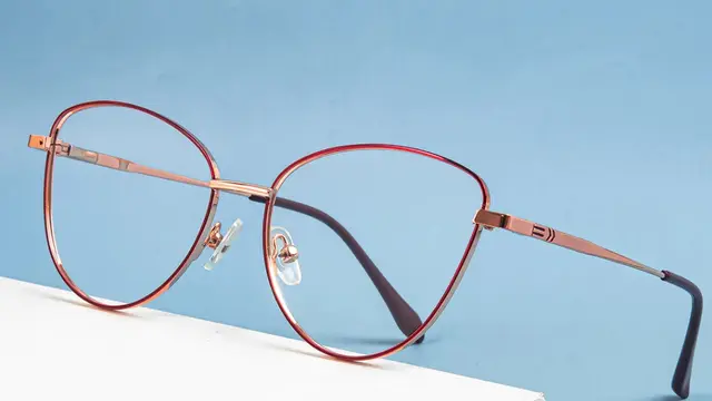 Model Frame Kacamata untuk Pria dan Wanita