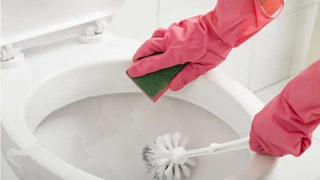 Aktivitas di Toilet Ini Berdampak Buruk Pada Kesehatan