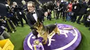 Rumor, Anjing jenis gembala Jerman bersama Kent Boyleshis berpose usai menjuarai kompetisi Best in Show di Westminster Kennel Club Dog Show, di New York City, AS (14/2). (Drew Angerer / Getty Images / AFP)