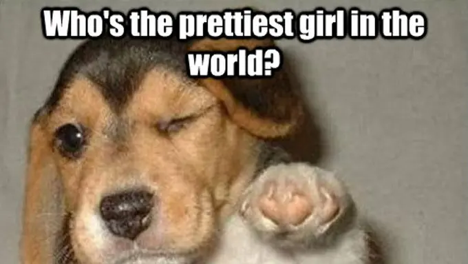 Kalimat Sepele, tapi Para Wanita Akan Senang Hati Mendengarnya