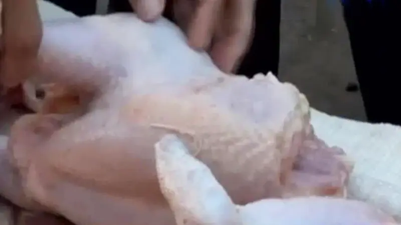 Pemkab Tegal Lakukan Sidak Antisipasi Ayam Tiren saat Ramadan