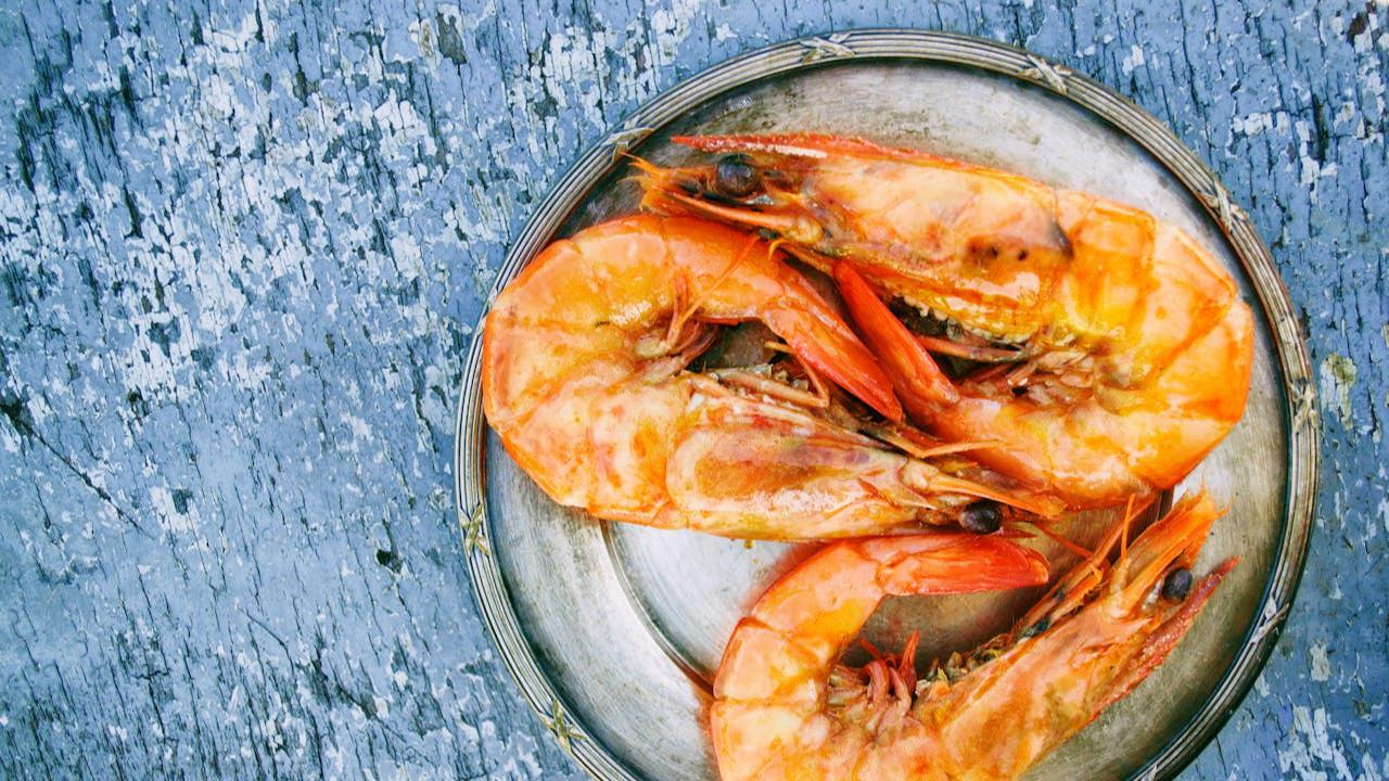 Ilustrasi Udang