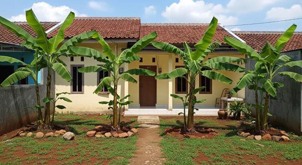 7 Jenis Pohon Pisang Pendek untuk Lahan Terbatas, Bisa Bikin Teduh dan Mempercantik Rumah