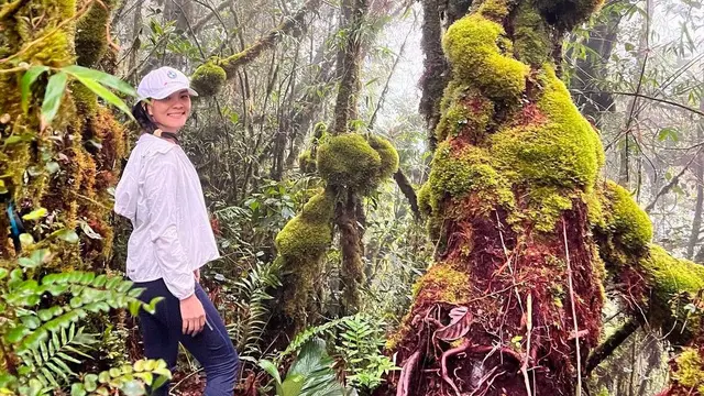 Suasana hutan lumut di Gunung Liang