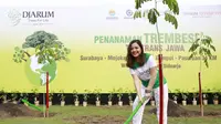 Tasya Kamila bersama Djarum Trees For Life melakukan penanaman Trembesi Tol Trans Jawa di Sidoarjo, Jawa Timur, Rabu (5/12/2018)