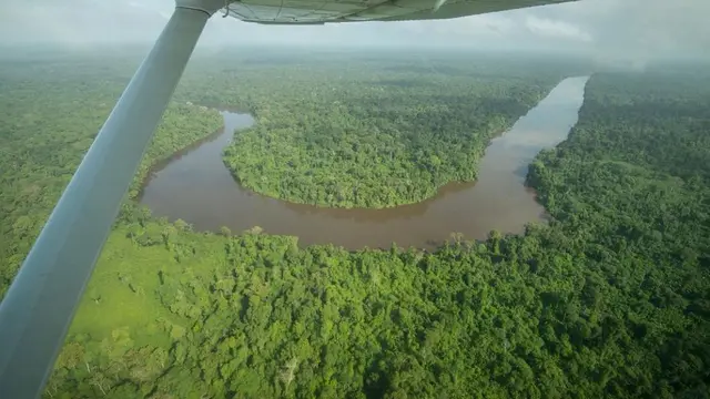 Central Suriname Nature Reserve