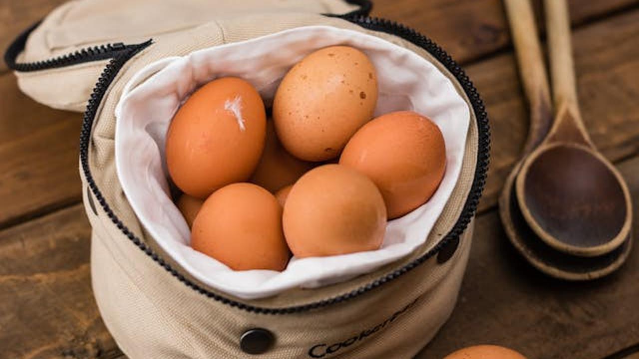 Karakteristik Fisik Telur Omega-3 dan Telur Biasa