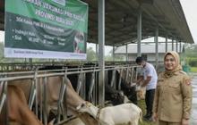 Dinas PKH Riau Catat 758 Kasus PMK Riau Sepanjang Januari-Mei 2026