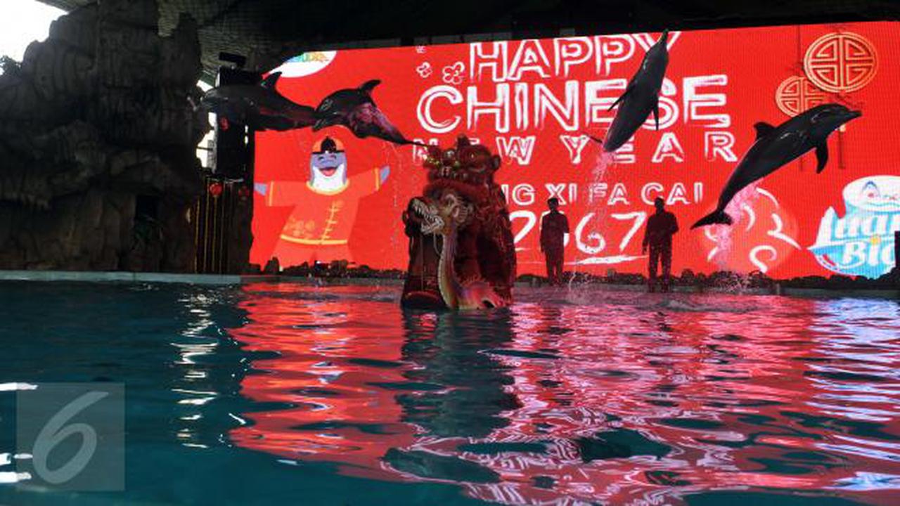 Barongsai Dalam Air Meriahkan Perayaan Imlek di Ancol