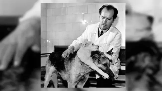 Vladimir Demikhov dari Uni Soviet menyambung anjing kecil ke anjing lain yang lebih besar dalam eksperimen di Jerman Timur, 1959.(Sumber Twitter/@dogmikhov)