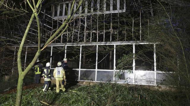 Pemadam kebakaran di Kebun Binatang Krefeld Jerman. (AP)