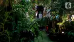 Warga mengunjungi acara Festival Urban Farming 2025 di Gedung Nyi Ageng Serang, Setiabudi,, Jakarta, Sabtu (12/7/2025). (Liputan6.com/Herman Zakharia)
