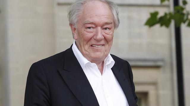 Michael Gambon. (AP Photo/Joel Ryan, File)