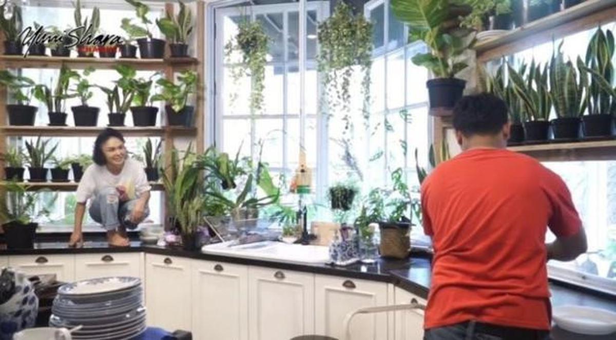 10 Tips Membuat Kebun Mini di Dapur, Bikin Betah Masak dan Hemat Belanja