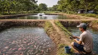 Peluang Ternak Ikan Kolam Tanah di Desa, Modal Kecil, Panen Melimpah, dan Untung Maksimal