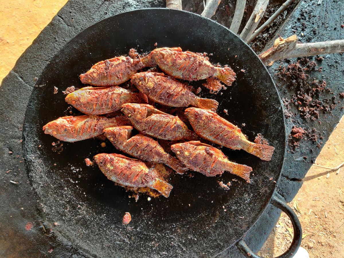 Ikan Goreng Kering/Photo by Manjunath H P on Unsplash