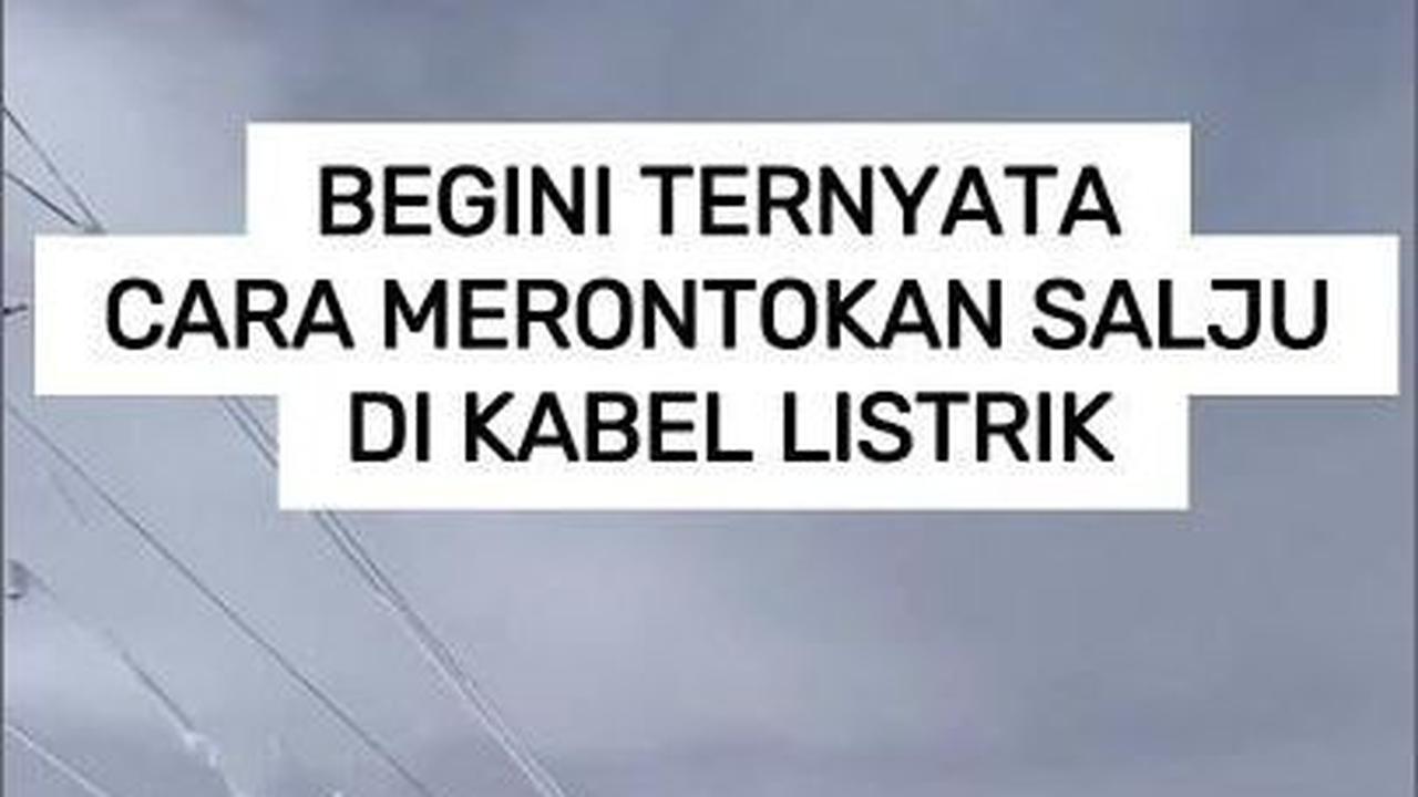 VIDEO: Begini Ternyata Cara Merontokkan Salju di Kabel Listrik