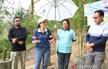 Tahukah Anda? Kebun Pangan Perempuan: Pemberdayaan Wanita Desa untuk Ketahanan Pangan Keluarga yang Lebih Baik